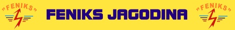 Feniks Jagodina